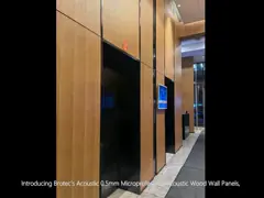 0.5mm Microperforated Acoustic Wood Wall Panels Decorative Timber Board Building Lobby