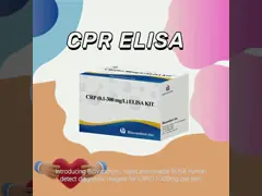 Accurate  CRP 0.1-300 Mg/L Elisa Test Kit for Sensitive Detection of Biological Substances