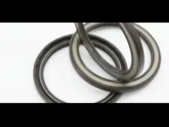 TCV Oliezegel Afdichtingstechnologie Versatile Oliezegel FKM NBR Machinery Seal