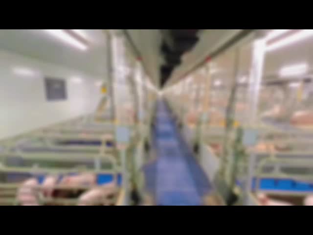 鋼製製 鶏棚 長距離鋼製 家畜 建物