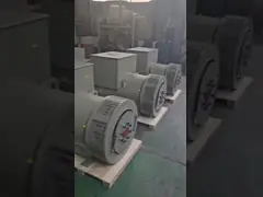 Synchrone borstelloze driefasige wisselstroomgenerator met AVR-gestuurd 50/60Hz