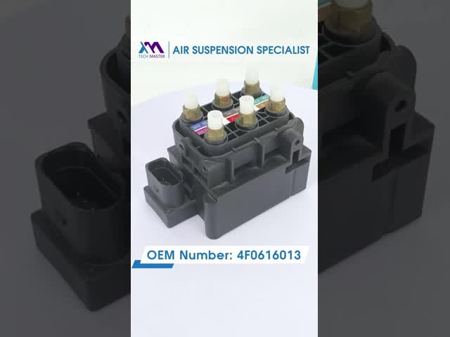 BMW F02 F01のための真新しい電磁弁のブロック37206789450 37206864215