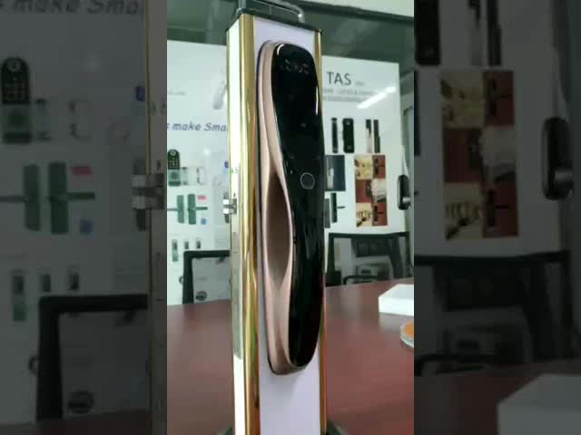 Qleung S928MAX 完全自動 Usmart Go Wifi リモコン ドアロック パスワード バイオメトリック 指紋 スマート ドアロック