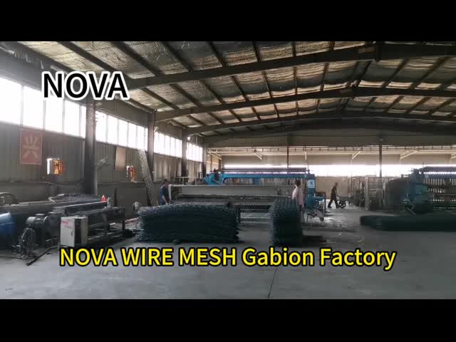Темная ая-зелен ячеистая сеть покрытия 80x100mm Gabion PVC для усиливать Riverway
