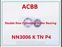 NN3006 K TN P4 Double Row Cylindrical Roller Bearing