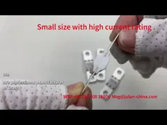 Ceramic Car Fuses With Screw Bolt Mounting Method A202008 100A 125VDC ASTM