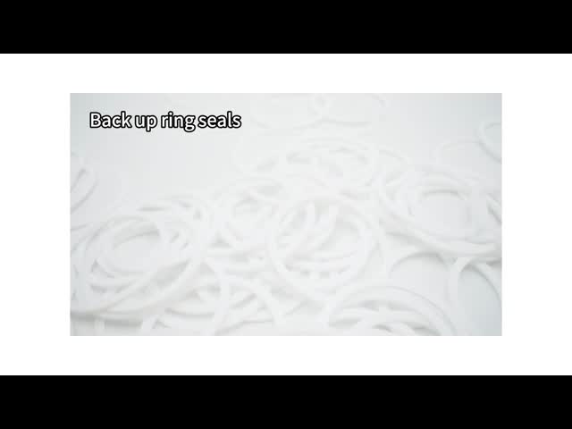 PTFE ブロンズで満たされたBRT バックアップリング ベアリング ガスケットシール バックアップリング