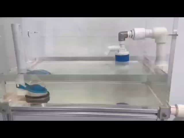 1/2