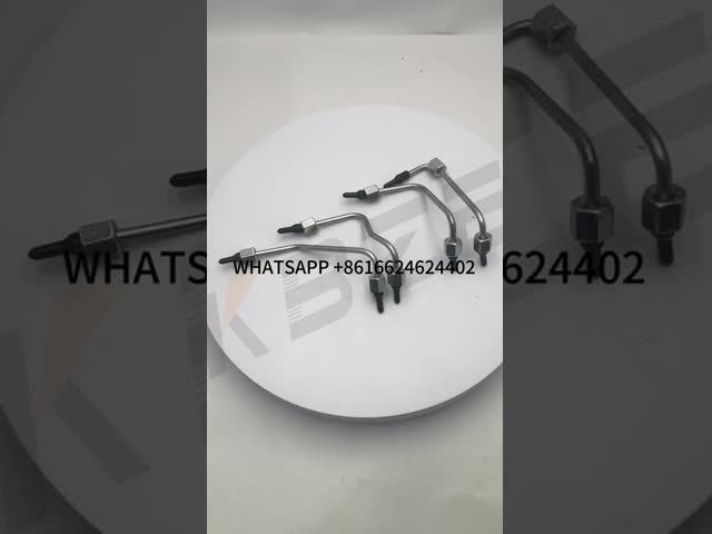 3920595 C3920595 CUMMINS 6CT8.3 Fuga de combustível do motor