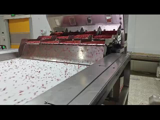 Chili peppers, spices AI  Sorting Machine with 64 Chutes Less Than 3.8m3/Min Air Consumption