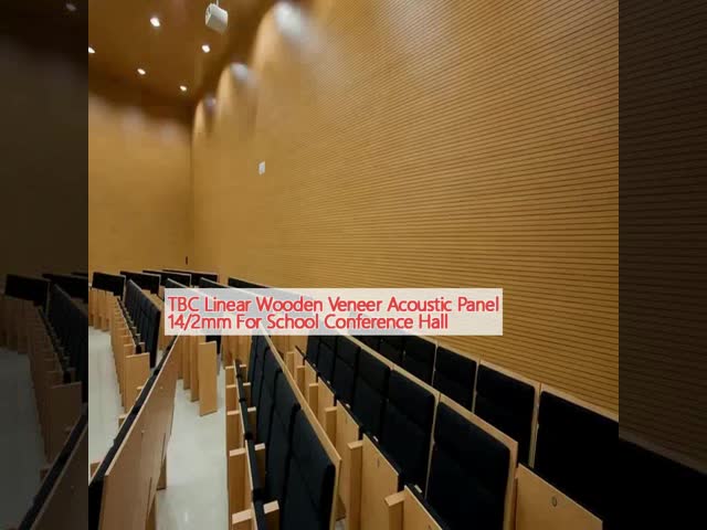 TBC 線形 木製 プラネア 音響 パネル 14/2mm 学校会議室用