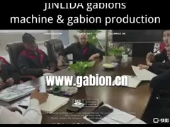 4.0mm Diameter Double Rack Drive Wire Netting Machine