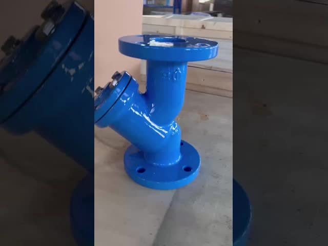 鋳鉄 / 柔らかい鉄 Y ストレナー バンブ 150LB 水のために