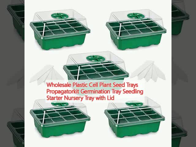 卸売 プラスチックの細胞植物の種子トレイ 繁殖キット 発芽トレイ 種子 スタート トレイ 蓋付き 苗圃トレイ