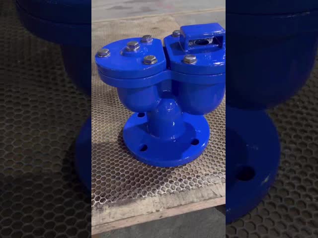 Válvula de ar de dupla abertura com flange versátil para aplicações de água / vapor / petróleo / gás