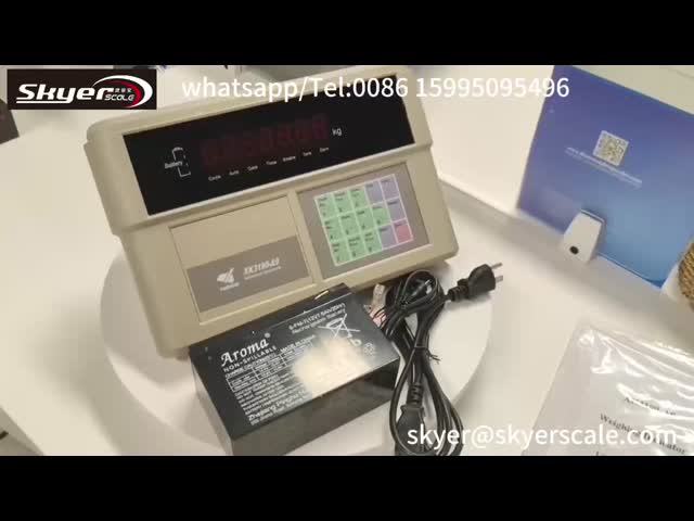 Anti - Disturbance Yaohua Weighing Indicator With LED Display