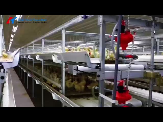 鉄鋼構造 鶏棚 農業農園 肉鶏 鶏場 環境制御システム