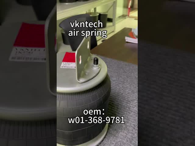 貨物Liner Air Bellow 9 10S-16 999 Rubber Air Spring Suspension System/Truck Parts Alloy Piston W01-358-9781