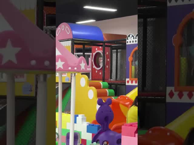 OEM ネイティ・キャッスル キッズ 10 子供 - 15 子供 室内遊び構造