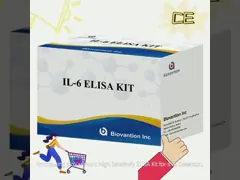 High Sensitivity ELISA Kit for IL6 Detection - Reliable Research Reagents for Accurate Cytokine Analysis