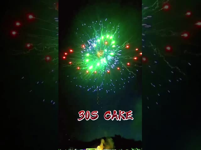 2インチ花火ケーキ 屋外祝賀のための花火器 中国語 劉陽 1.4g Un0336