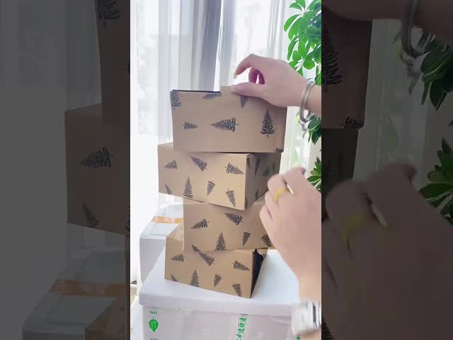 Двойная ушная кастрюля для салатов с крышкой Супная посуда Кувшин для лапши