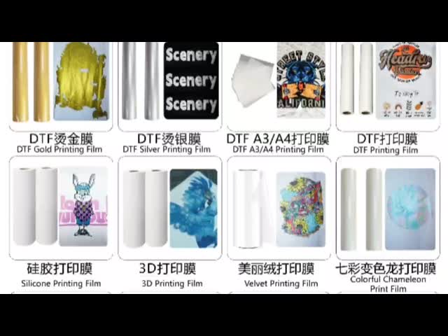 週50000ロール DTF印刷材料 80gm 白/透明色 アンチカールフィルム