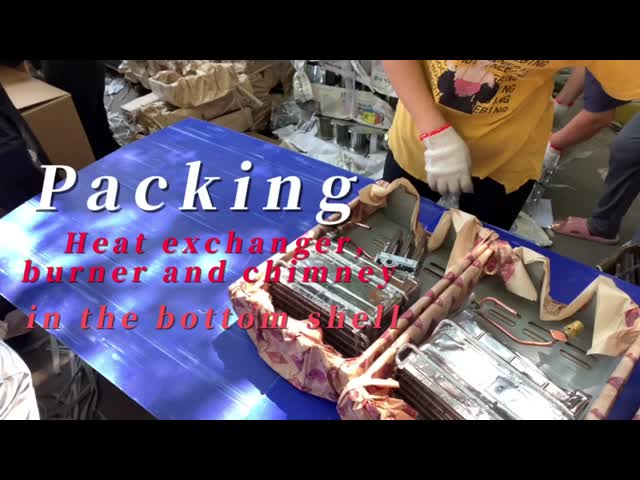 20KW Tankless Water Heater LPG NG Type Instant Heating For Shower