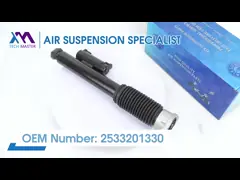 23290661 Rear Car Shock Absorber With Metal Construction