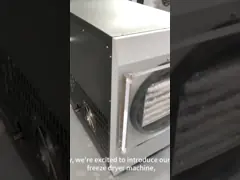 小型真空家庭冷凍乾燥機 食品 10KG 空気冷却