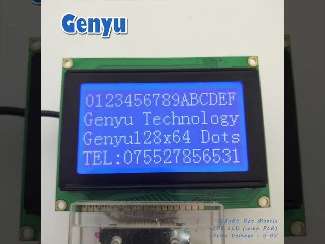 2.9 Inch Graphical LCD Display Module Monochrome Graphic LCD Display STN