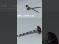 مسامير رأس بلاستيكية من الفولاذ المقاوم للصدأ للبناء / دبابيس SUS316 دبابيس علوية بولي 30 مم
