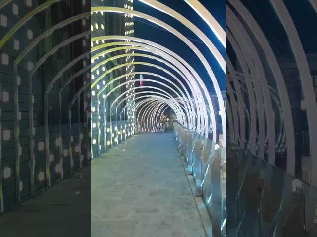 SMD5050 RGB Led Neon Flex 24V IP68 Silicone Led Neon Rope Light