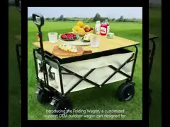 Customized Support OEM for Outdoor Wagon Cart Design and Performance