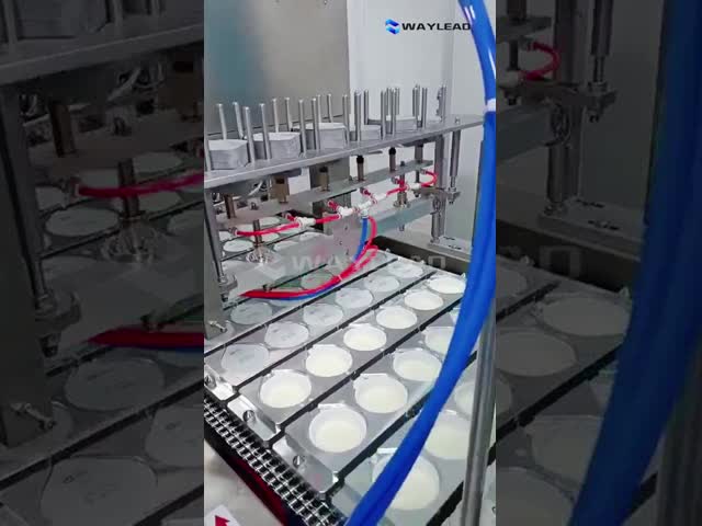 Полностью автоматическая картонировка и палетная упаковка закусок