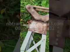 Aluminium Alloy Gin Pole Untuk Membangun Menara Dan Pole Dalam Pembangunan Jalur Transmisi