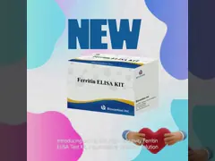 Biovantion High Sensitivity Ferritin Elisa Test Kit Quantitative Detection for Clinical Diagnostics and Research Use Human Serum Plasma Samples