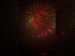 Fabbrica Liuyang fuochi d'artificio pirotecnica Shell 2 3 4 5 6 7 8 pollici Display fuochi d'artificio conchiglie per la celebrazione 2025