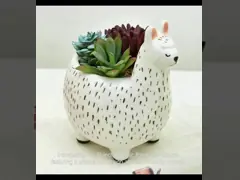 10 Zoll Keramik Blumenkrug Pflanzer Tier Blumenkrüge Sukkulente Pflanzenkrug Pflanzenvermehrung