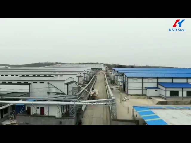 オーダーメイドプリファブ層 鶏家の構造 自動層 鶏場構造