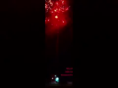 Liuyang Factory Customized Wholesale 188 Shots Fireworks Cake Pyrotechniek Consumenten Cake Fireworks Chinese Salute 2025