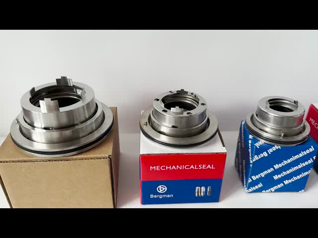 Selos mecânicos da bomba de palhetas deslizantes ChSt 55mm tipo Blackmer