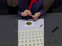 A70 Cobertura de cobre duradera maquillaje labial cepillos Mini cepillo labial fácil de limpiar