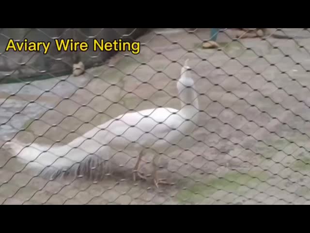 高い抗張動物学動物のエンクロージャの網3.0mm結ばれたロープの網