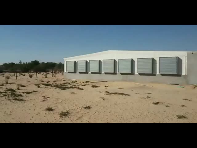 Earthquake Resistant Steel Structure Poultry House Free Design Full Equipment