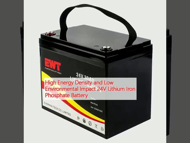 Environmentally Friendly 24V Lithium Iron Phosphate Battery with Affordable Cost and High Energy Density