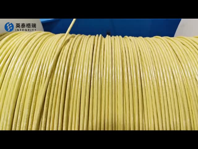 CAT6 1000FT 無遮蔽 イーサネットケーブル 23AWG 4P 固体黄色 PVC