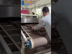 Sustainable Manufacturing Eco-Conscious Design 14 Stage Microwave Drying Machine For Pulp Sea Food