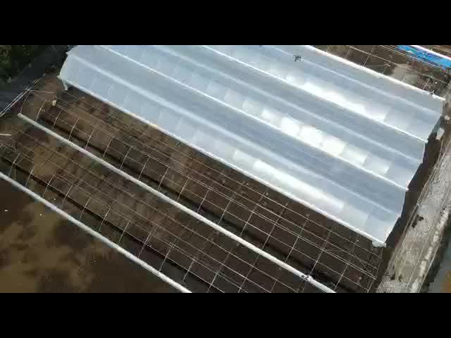 農業用PVC温室キット トマト栽培のためのポリテク温室