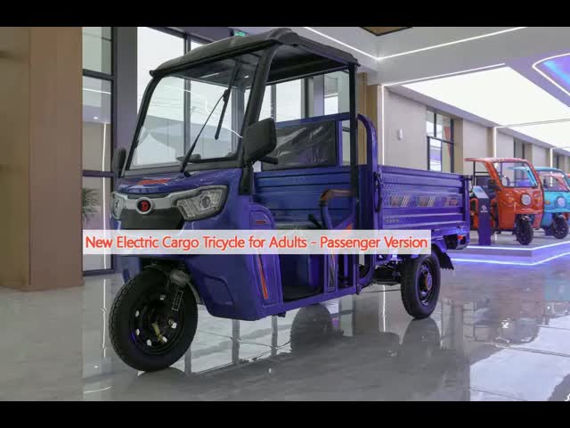 New  for adults cargo electric tricycles passenger use  vehicle